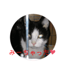 ちびみやパート6（個別スタンプ：7）