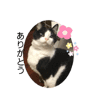 ちびみやパート6（個別スタンプ：13）