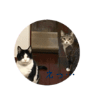 ちびみやパート6（個別スタンプ：16）