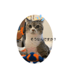 ちびみやパート5（個別スタンプ：2）