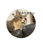 ちびみやパート5（個別スタンプ：5）