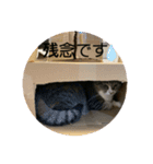 ちびみやパート5（個別スタンプ：9）