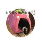 ちびみやパート5（個別スタンプ：11）