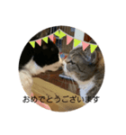 ちびみやパート5（個別スタンプ：15）