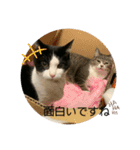 ちびみやパート5（個別スタンプ：16）