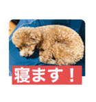チャーミー スタンプ New（個別スタンプ：2）