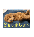 チャーミー スタンプ New（個別スタンプ：11）