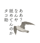 時々おかしい目が雑な手描き動物（個別スタンプ：3）