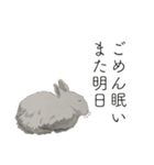 時々おかしい目が雑な手描き動物（個別スタンプ：6）