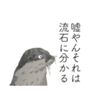 時々おかしい目が雑な手描き動物（個別スタンプ：8）