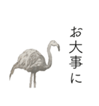 時々おかしい目が雑な手描き動物（個別スタンプ：9）