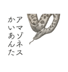 時々おかしい目が雑な手描き動物（個別スタンプ：12）