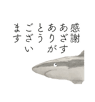 時々おかしい目が雑な手描き動物（個別スタンプ：13）
