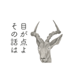 時々おかしい目が雑な手描き動物（個別スタンプ：15）