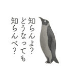 時々おかしい目が雑な手描き動物（個別スタンプ：16）