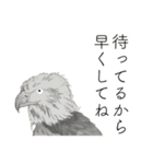 時々おかしい目が雑な手描き動物（個別スタンプ：19）