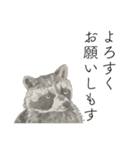 時々おかしい目が雑な手描き動物（個別スタンプ：31）
