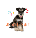 むらやま家のなかまたち（個別スタンプ：7）