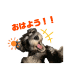 むらやま家のなかまたち（個別スタンプ：14）