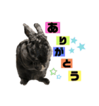 むらやま家のなかまたち（個別スタンプ：18）