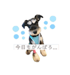 むらやま家のなかまたち（個別スタンプ：21）