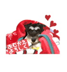 むらやま家のなかまたち（個別スタンプ：22）