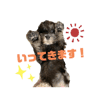 むらやま家のなかまたち（個別スタンプ：24）
