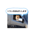 東海のアイドル犬さくら（個別スタンプ：9）