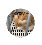 実写ユッケだよ（個別スタンプ：6）
