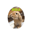 実写ユッケだよ（個別スタンプ：7）
