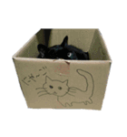ハムとネコともろもろ（個別スタンプ：3）