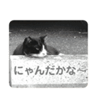 ハムとネコともろもろ（個別スタンプ：8）