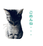 ソラちゃんです。。（個別スタンプ：10）