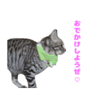 ソラちゃんです。。（個別スタンプ：12）