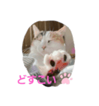 クウ＆モモ（個別スタンプ：5）
