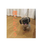 こーしゃん（個別スタンプ：5）