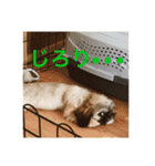 こーしゃん（個別スタンプ：18）