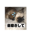 こーしゃん（個別スタンプ：38）