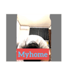 やり直し（笑）（個別スタンプ：7）