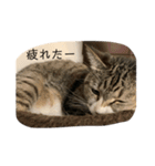 ちびみやパート3（個別スタンプ：1）