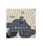 Life_ .（個別スタンプ：7）