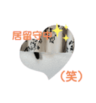 ちゃんまる。スタンプ2（個別スタンプ：9）