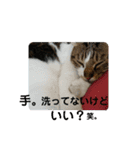 ちゃんまる。スタンプ2（個別スタンプ：15）