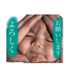 あおべえすたんぷpart2（個別スタンプ：12）