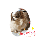 楓乃Pんちの3姉兄妹 1（個別スタンプ：5）