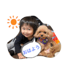 haruhina2020（個別スタンプ：6）