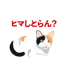 博多弁を喋る三毛猫（個別スタンプ：2）