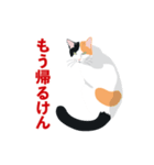 博多弁を喋る三毛猫（個別スタンプ：3）