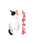 博多弁を喋る三毛猫（個別スタンプ：4）