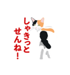 博多弁を喋る三毛猫（個別スタンプ：10）